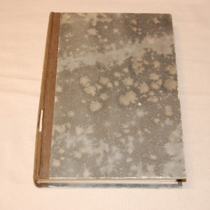 Maiju Lassila Tulitikkuja lainaamassa